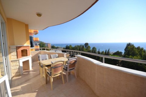 Apartment for sale  in Mahmutlar, Antalya, Turkey, 230m2, No. 221164 – photo 22