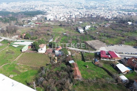 Hotel for sale in Bursa, Turkey, 8 bedrooms, 4026m2, No. 217851 – photo 6