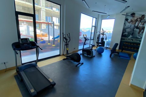 Аренда квартиры  в Аланье, Анталье, Турция 1+1, 45м2, №216569 – фото 29