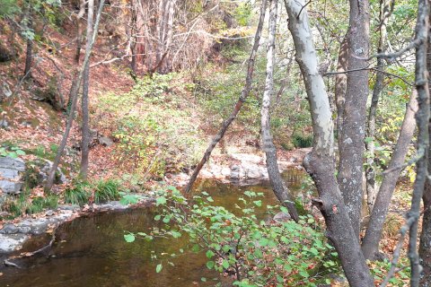 3+1 Villa  in Orhaneli, Schleimbeutel, Türkei Nr. 212942 - 13