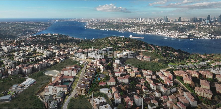 3+1 Lägenhet i istanbul, Turkiet Nr. 223099