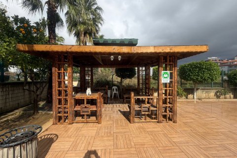 2+1 Wohnung  in Kestel, Antalya, Türkei Nr. 223203 - 21