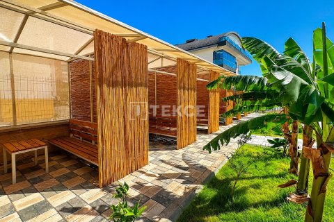 3+1 Penthäuser  in Alanya, Antalya, Türkei Nr. 237559 - 3